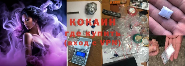 mix Богородицк